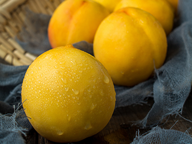 九游游戏官网基地展示五